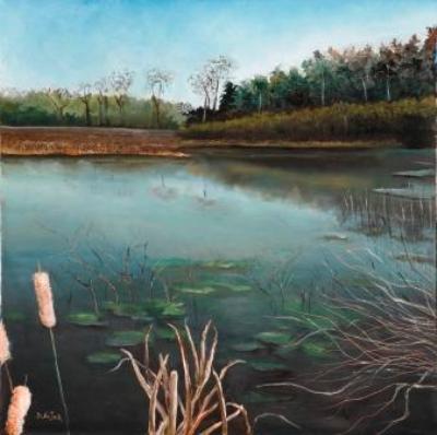Water Landscapes - home